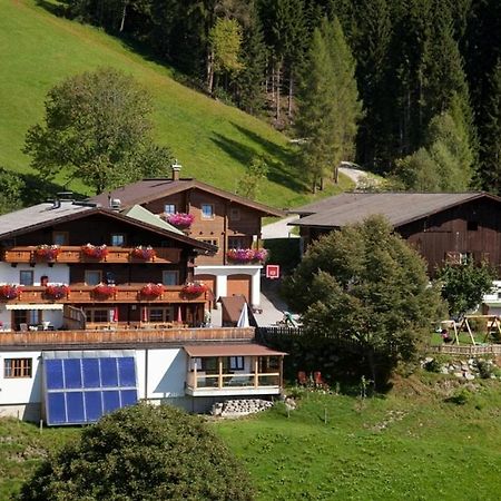 Berggasthof-Ferienbauernhof Habersatt 阿尔滕马克特蓬高 外观 照片